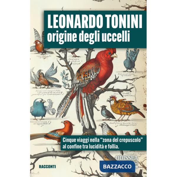 Origine degli uccelli