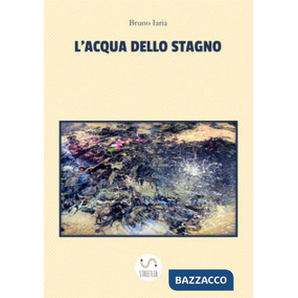 Acqua dello stagno (L')