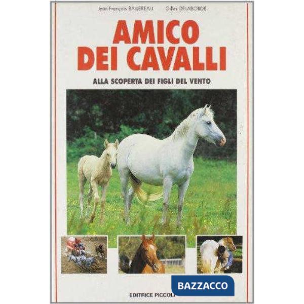 Amico dei cavalli
