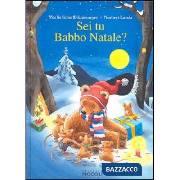 SEI TU BABBO NATALE? EDIZ. ILLUSTRATA