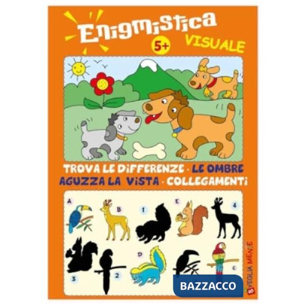 Enigmistica visuale 5+