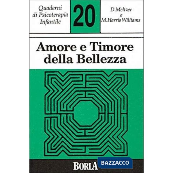 Quaderni di psicoterapia infantile. Vol. 20: Amore e timore della bellezza