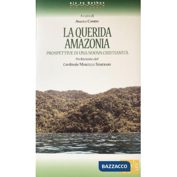Querida Amazonia. Prospettive di una nuova Cristianità (La)