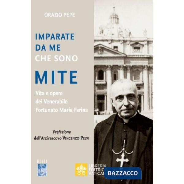 Imparate da me che sono mite