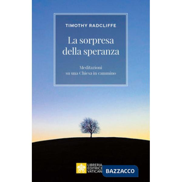 Sorpresa della speranza. Meditazioni su una Chiesa in cammino (La)
