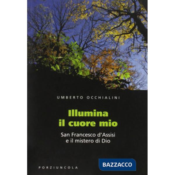 Illumina il cuore mio. San Francesco d'Assisi e il mistero di Dio
