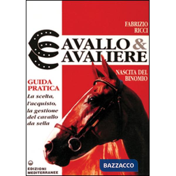 Cavallo e cavaliere