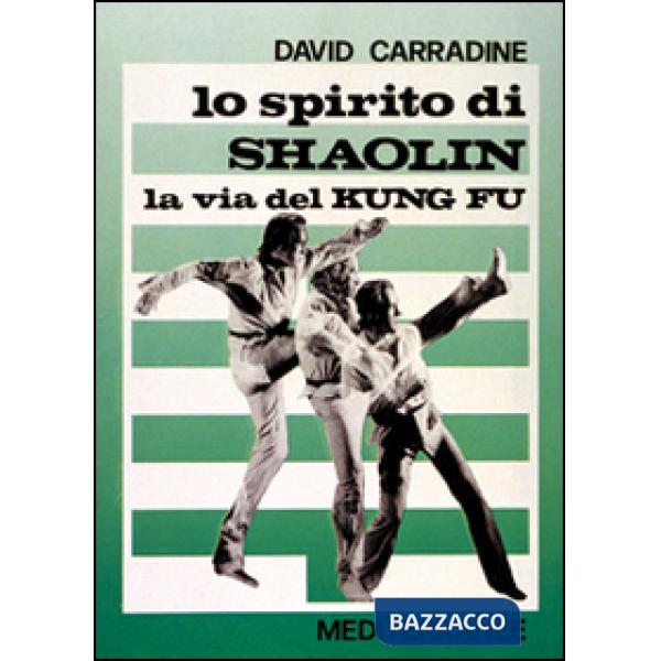 Spirito di Shaolin. La via del kung fu (Lo)