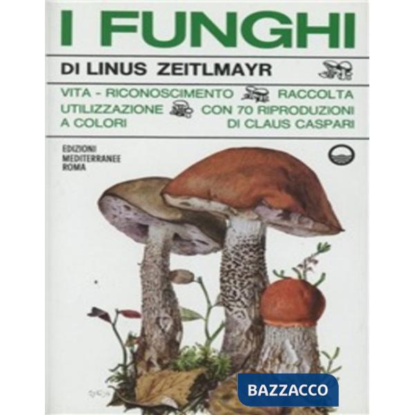 Funghi (I)