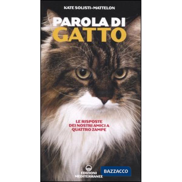 Parola di gatto. Le risposte dei nostri amici a quattro zampe