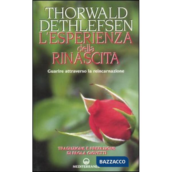 Esperienza della rinascita. Guarire attraverso la reincarnazione (L')