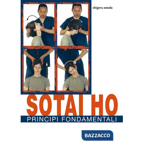 Sotai ho. Principi fondamentali