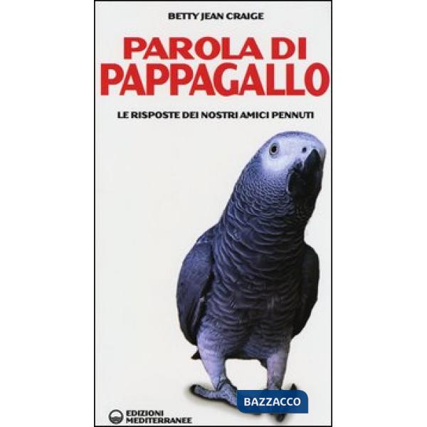 Parola di pappagallo. Le risposte dei nostri amici pennuti