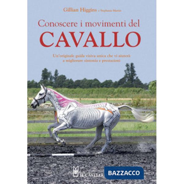 Conoscere i movimenti del cavallo