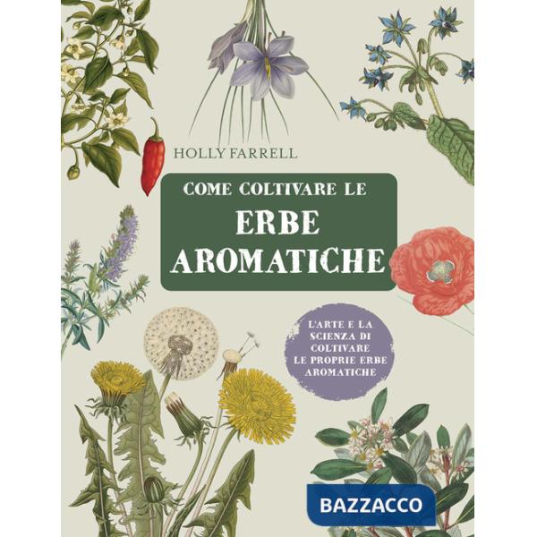 Come coltivare le erbe aromatiche. L'arte e la scienza di coltivare le proprie erbe aromatiche