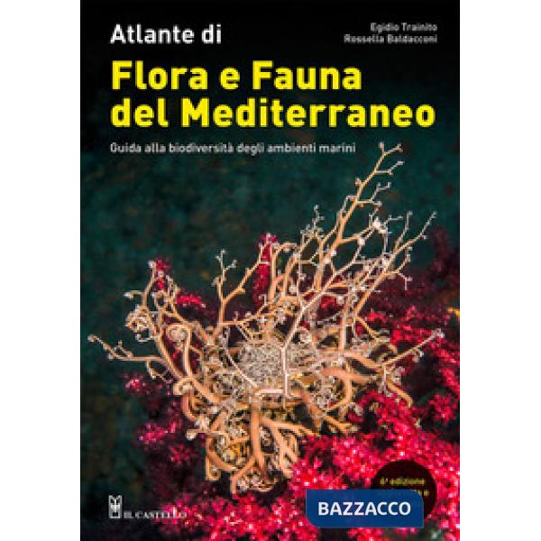 Atlante di flora e fauna del Mediterraneo. Guida alla biodiversità degli ambienti marini. Ediz. a colori