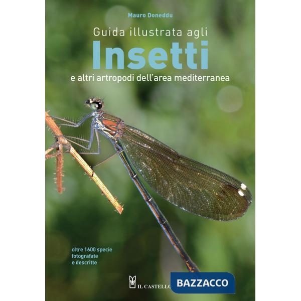 Guida illustrata agli insetti e altri artropodi dell'area mediterranea. Ediz. a colori