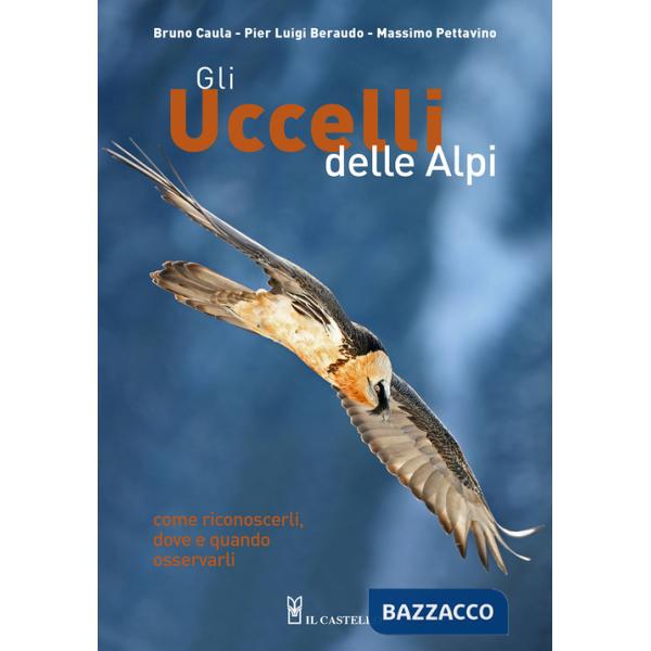 Uccelli delle Alpi. Come riconoscerli, dove e quando osservarli. Ediz. a colori (Gli)