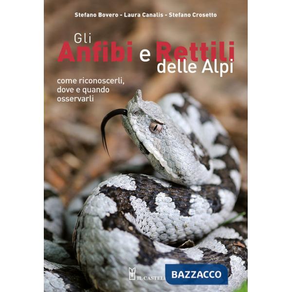 Anfibi e rettili delle Alpi. Come riconoscerli, dove e quando osservarli. Ediz. a colori (Gli)