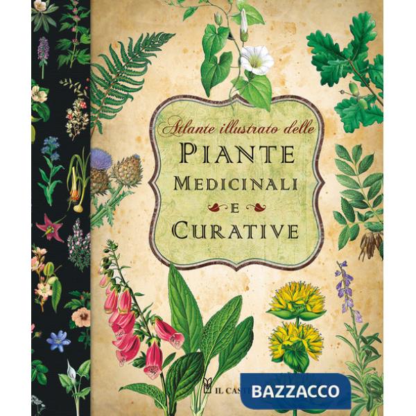 Atlante illustrato delle piante medicinali e curative
