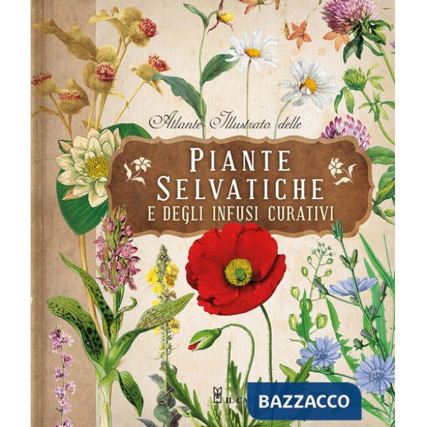 Atlante illustrato delle piante selvatiche e degli infusi curativi