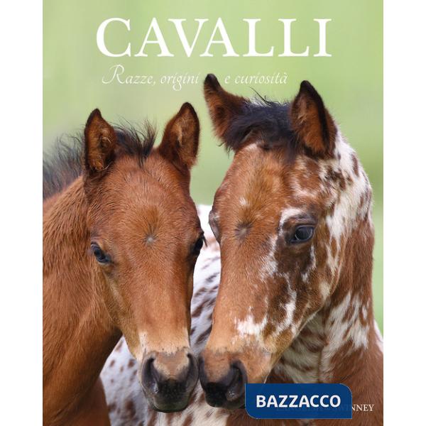 Cavalli. Razze, origini e curiosità
