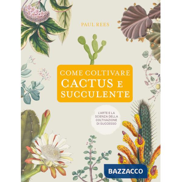 Come coltivare cactus e succulente