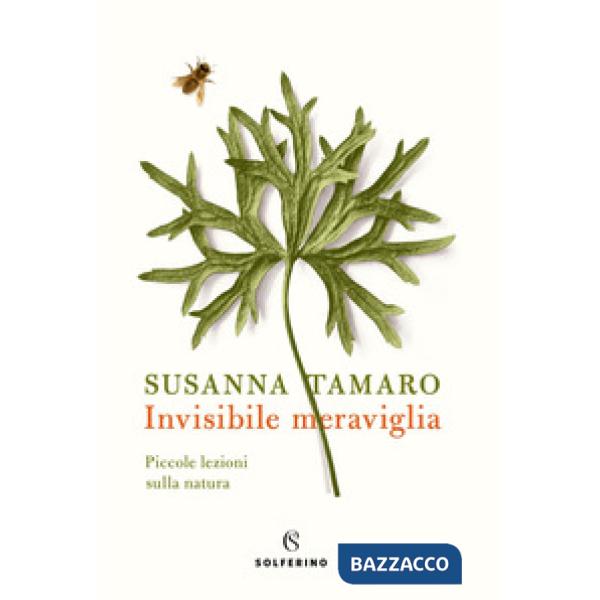 Invisibile meraviglia. Piccole lezioni sulla natura