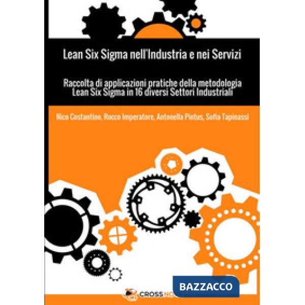 Lean Six Sigma nell'industria e nei servizi. Raccolta di applicazioni pratiche d