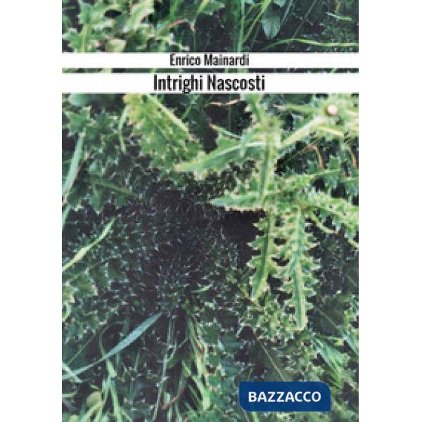 Intrighi nascosti