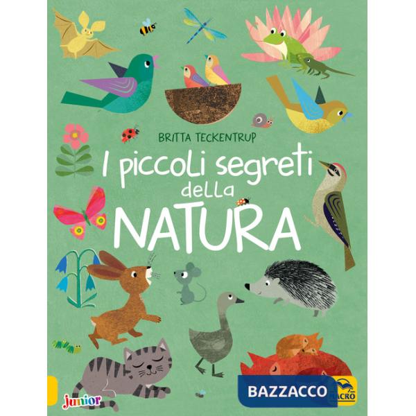 Piccoli segreti della natura. Ediz. a colori (I)