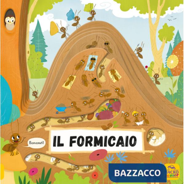 Formicaio. Ediz. a colori (Il)