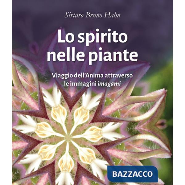 Spirito nelle piante. Viaggio dell'anima attraverso le immagini «imagami» (Lo)