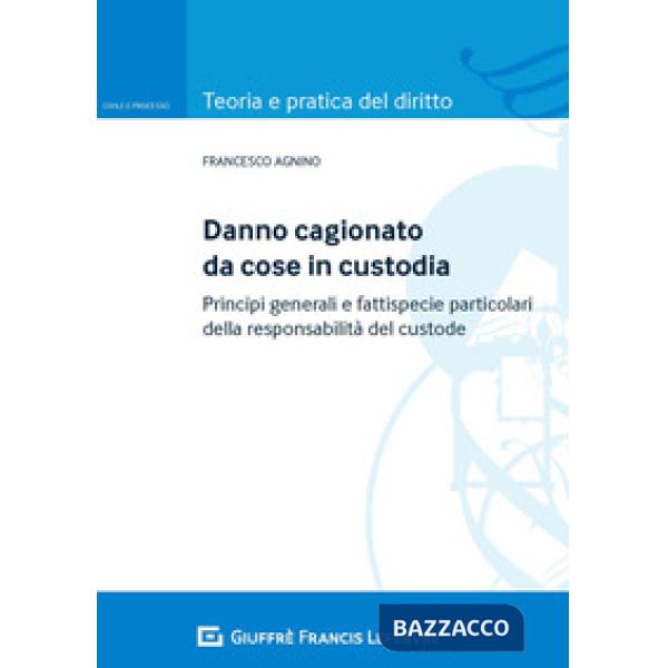 DANNO CAGIONATO DA COSE IN CUSTODIA. PRINCIPI GENERALI E FATTISPECIE PARTICOLARI DELLA RESPONSABILITÀ DEL