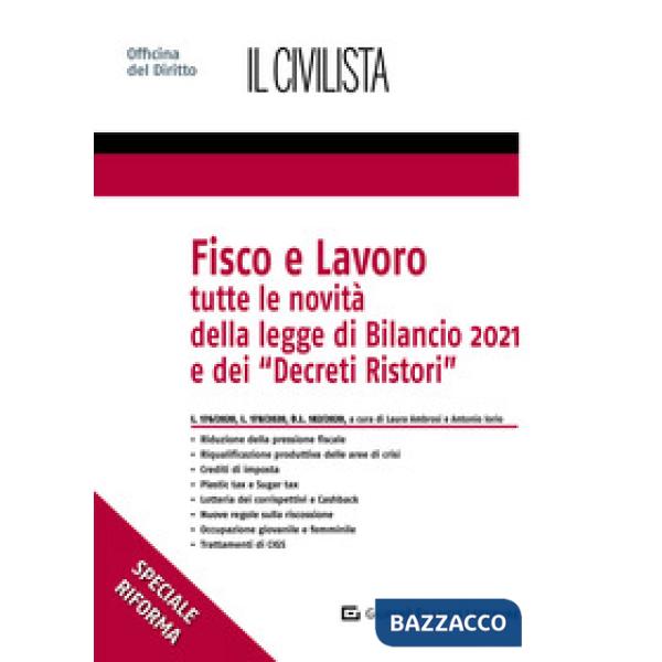 Fisco e lavoro. Tutte le novità della Legge di bilancio 2021 e dei «Decreti Ristori»