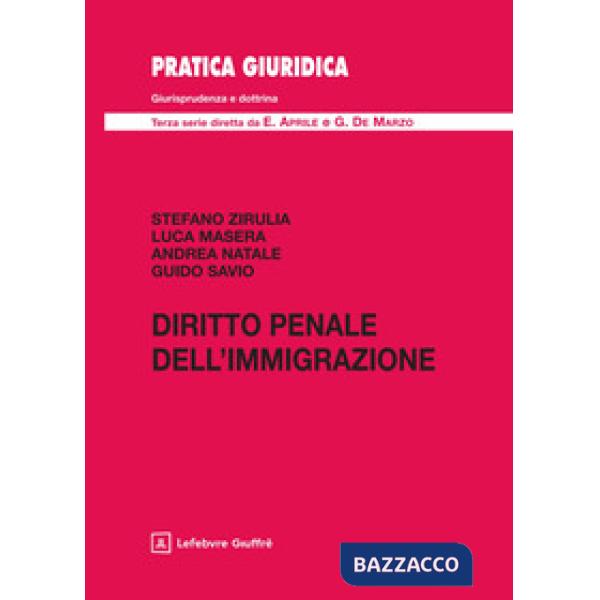 Diritto penale dell'immigrazione