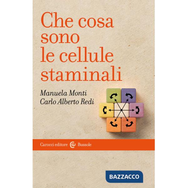 Che cosa sono le cellule staminali