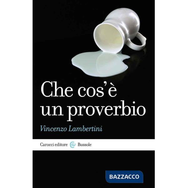 Che cos'è un proverbio