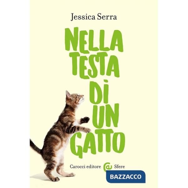 Nella testa di un gatto