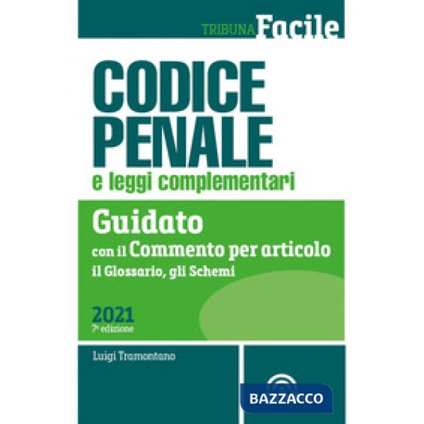 Codice penale e leggi complementari. Guidato con il commento per articolo, il glossario, gli schemi