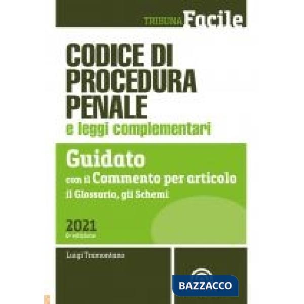 Codice di procedura penale e leggi complementari. Guidato con il commento per articolo, il glossario, gli schemi