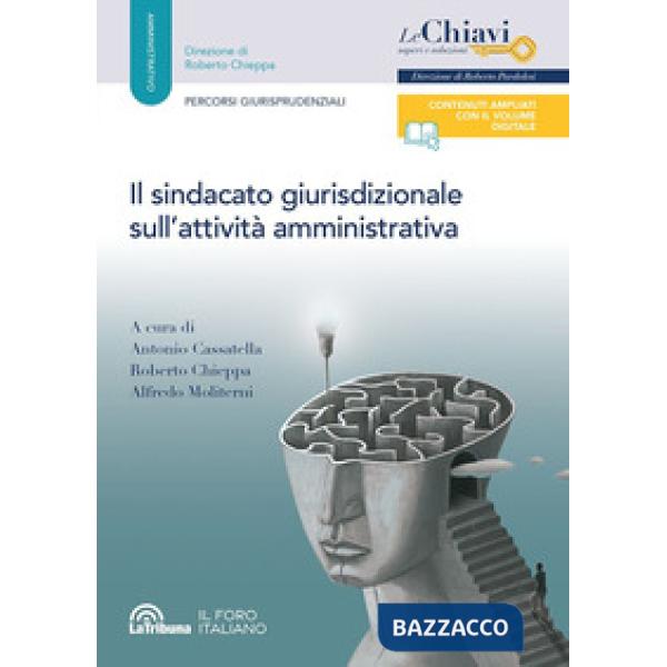 Il sindacato giurisdizionale sull'attività amministrativa