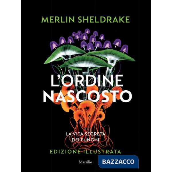 Ordine nascosto. Ediz. a colori (L')