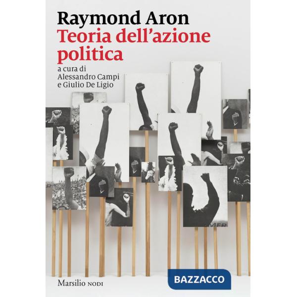 Teoria dell'azione politica