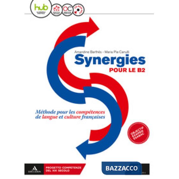 SYNERGIES B2