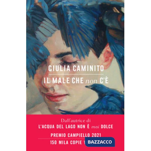 Male che non c'è (Il)