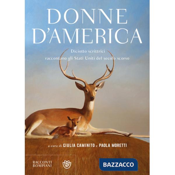 Donne d'America. Diciotto scrittrici raccontano gli Stati Uniti del secolo scorso