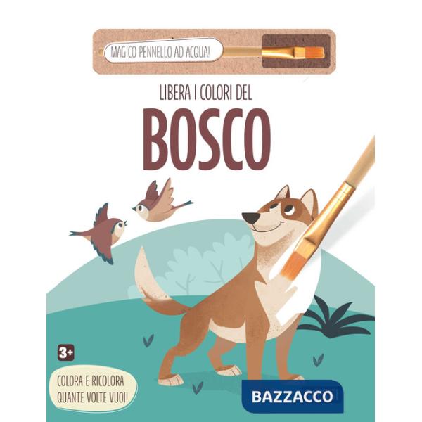 Libera i colori del bosco. Ediz. illustrata