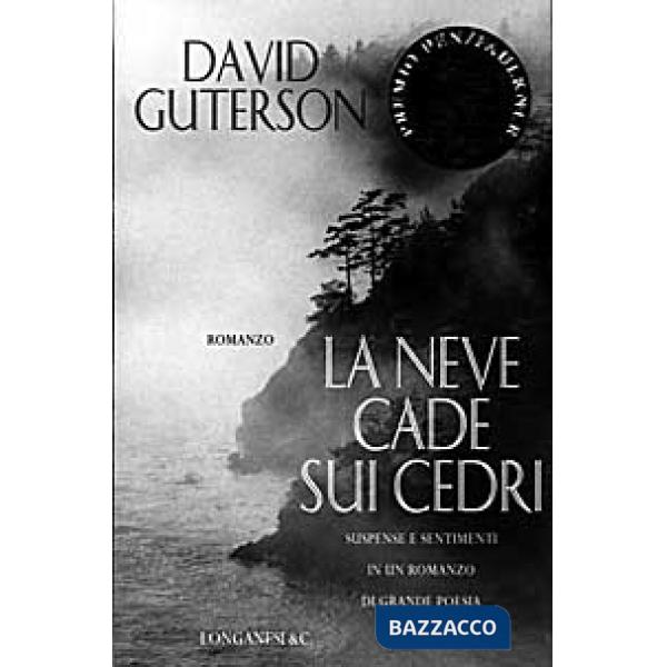 Neve cade sui cedri (La)