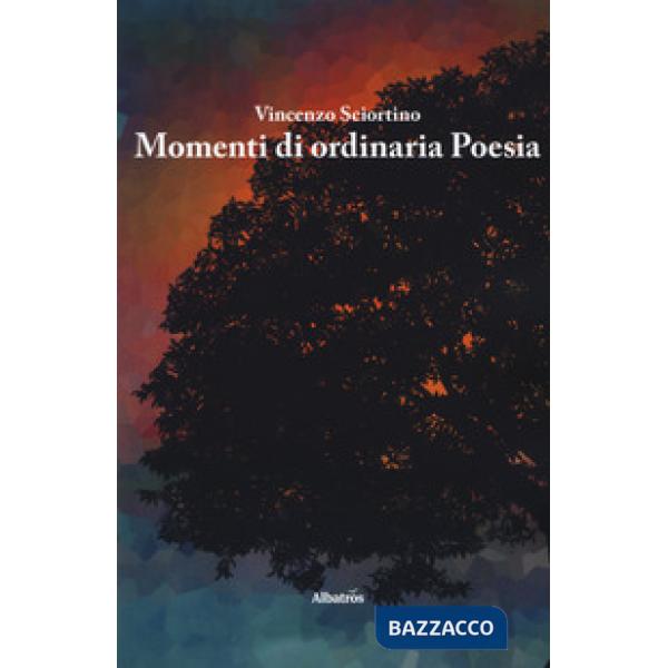 Momenti di ordinaria poesia